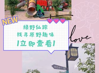 绿野仙踪，六一带孩子去探索田园乐趣吧！
