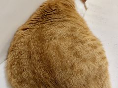 -小时光咖啡馆(北锣鼓巷店)