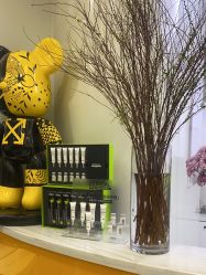 -YESIDO BLACK椰岛造型