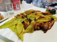 -丁老爷子苏香圆