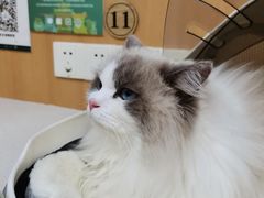 -联合动物医院(光谷诊疗中心)