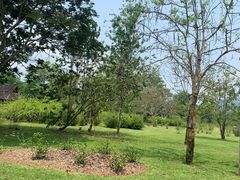 -中国科学院西双版纳热带植物园