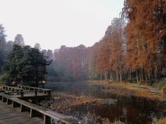 -东湖落雁景区