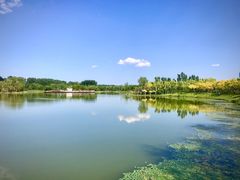 -东郊湿地公园