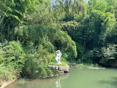 -长沙黑麋峰国家森林公园