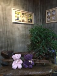 -iplus爱家高端孕妇摄影