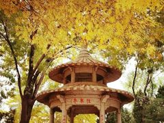-玲珑塔公园