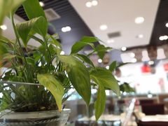 -嘉和一品粥(首经贸店)