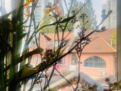 -蝶舍·MAISON PAPILLON