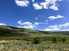 -塞罕坝国家级自然保护区