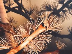 -春熙台韩国料理·章鱼肥牛(西丽店)