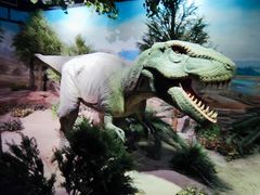 -国家自然博物馆