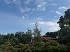 -圣淘沙天际线斜坡滑车