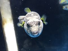 -苏州海洋馆