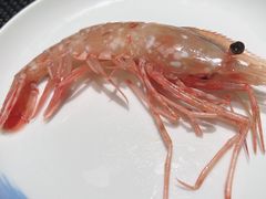 -虹料理·日料放题(悠方店)