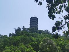 -深圳国际园林花卉博览园