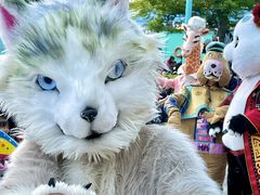 -海合安武汉极地海洋公园