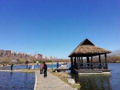 -前关湿地公园