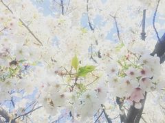 -苏州河梦清园环保主题公园