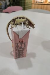 -Moni星球萌宠·小马宝莉·灵蛇·高端高阶全萌宠互动体验俱乐部(红豆国际广场店)
