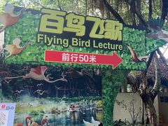 -广州长隆飞鸟乐园