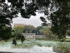 -人民公园(罗湖区)