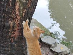 -广州兰圃
