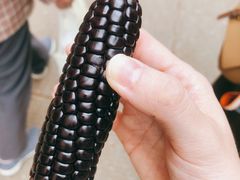 -大观篆新农贸市场