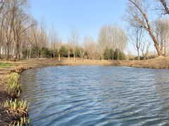 -东郊湿地公园