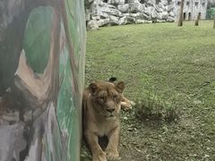 -黔灵山公园-南门售票处