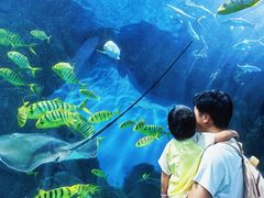-福州罗源湾海洋世界旅游区
