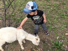 -上海滴水湖皇冠假日酒店