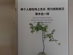 -柏乐口腔(南宁总院)