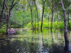 -玉渡山自然风景区