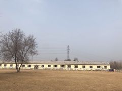 -北京群众马术培训基地