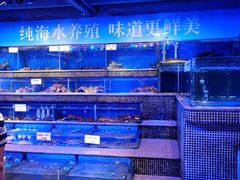 水产区-青蓬蒸汽海鲜·深圳老字号·团建聚会(壹方城店)