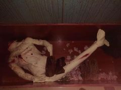 -失落之城沉浸式剧情密室(江宁万达店)