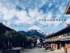 -阿山卓·野生菌火锅·纳西火塘烤肉