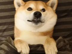 -36cake生日蛋糕·下午茶(南山店)