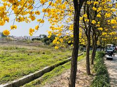 -天适樱花悠乐园