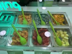 -Salud撒露欧洲冻酸奶(五道口购物中心店)