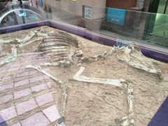 -陕西自然博物馆