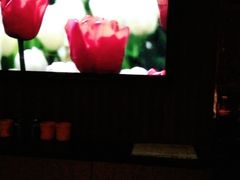 -GalaCity上海歌城(杨浦百联店)