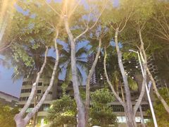 -胡须佬鸡煲四季火锅(海雅缤纷城店)