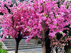-常德桃花源景区