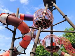 -枫香湖儿童公园