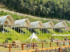 -江西阳明山国家森林公园