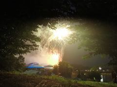 -大塘金香草谷