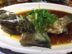 清蒸老虎斑鱼-茂港柏香(侨港路店)