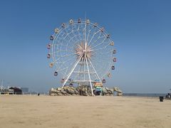 -奉贤海滩